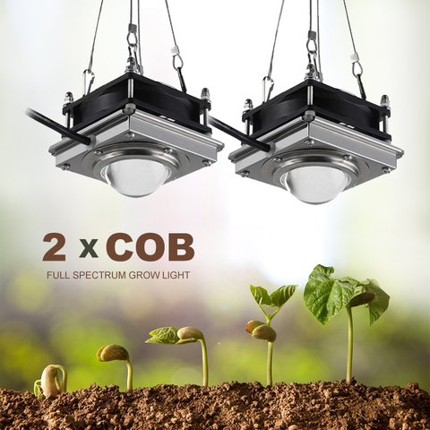 150W COB LED Grow luz interior lámpara Fito para plantas de espectro completo Led lámpara de crecimiento Grow Tent Box lámparas para plantas de Casa Flores ► Foto 1/6