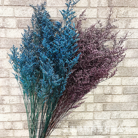 40-45cm Natural Dried Lover Grass & Valentine Grass Plant,Real Preserved Fresh Flower Ramos, flor de baile para decoración del hogar ► Foto 1/6