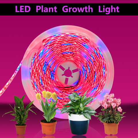 Tira de luces LED para cultivo de plantas, lámpara phyto de flores de espectro completo, impermeable para invernadero, luz de crecimiento hidropónico + adaptador de corriente, 20M ► Foto 1/6