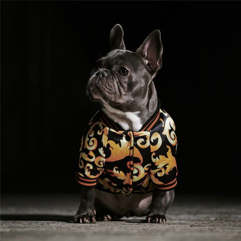 Ropa de S-3XL para perros pequeños, chaqueta de Bulldog Francés, abrigo para mascotas, productos de invierno para mantener el calor al aire libre, jersey de Yorkies ► Foto 1/6