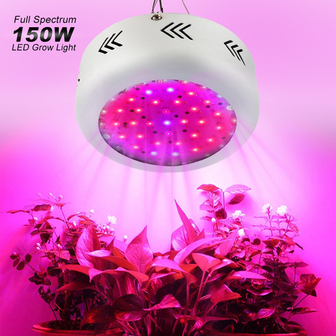 Lámpara de cultivo UFO de 150W, luz Led de amplio espectro, 50 ledes Fitolamp, protector de cultivo para plantas de interior hidropónicas de jardín ► Foto 1/6