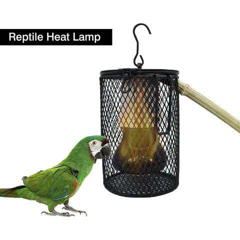 Lámpara de calor de 50/100W para reptiles y mascotas, Kit de calentador para gallinero, jaula para mascotas, Bombilla de calor para pollos y reptiles ► Foto 1/6