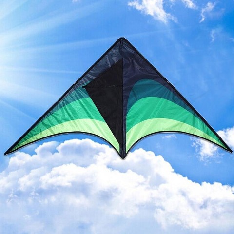De alta calidad gran Delta cometas con manilla línea al aire libre juguetes para niños cometas de Nylon Ripstop albatros al aire libre volando cometas ► Foto 1/6