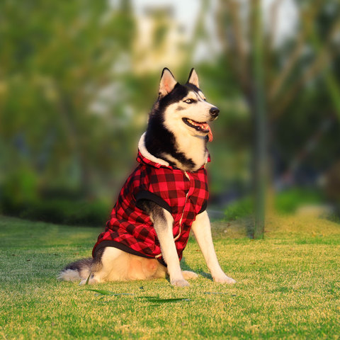 Ropa de perro de invierno chaquetas red cálido suave súper grueso ropa para perros grandes S-5XL traje otoño Sudadera con capucha abrigos para perros ropa para mascotas ► Foto 1/6