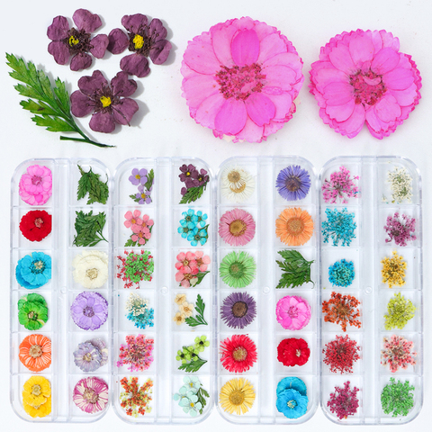 Juego de flores de naturaleza seca para uñas, 12 colores, esmalte de Gel, Punta 3D, pegatina de rebanadas florales, decoración de manicura y pedicura, Kit más nuevo de seguridad ► Foto 1/6