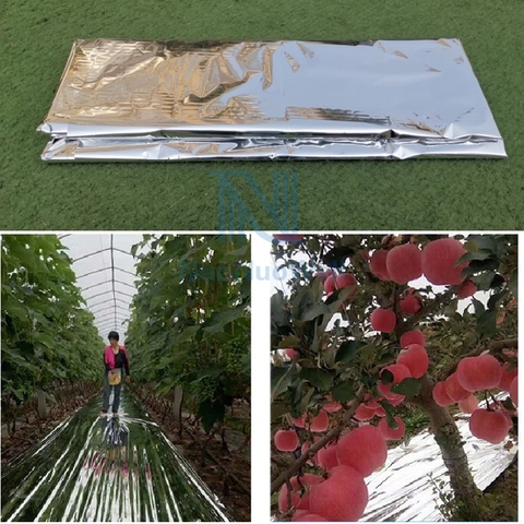 Membrana plateada de 100cm de ancho para jardín, membrana para verduras, huerto, árboles de manzana, plantas de Color, invernadero, doble cara, película para reflejos Mylar ► Foto 1/6