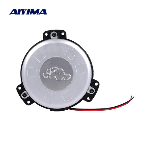 AIYIMA-Altavoz portátil de alta potencia con vibración, controlador de Altavoz de alta potencia de 30W, 8 Ohm, Altavoz portátil de baja frecuencia, Altavoz Hifi de Bass Music, 1 ud. ► Foto 1/5