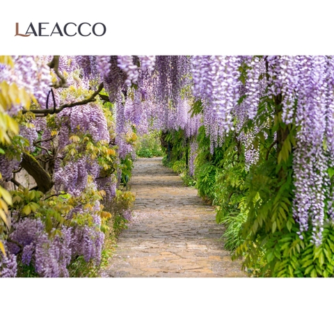 Laeacco primavera pintoresco jardín de flores con fleco Vid verde carretera foto telón de fondo de fotografía de estudio fotográfico Photocall ► Foto 1/6