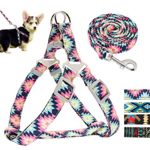 Conjunto de correa y arnés ajustable para perros, kit de entrenamiento para mascota con correa ajustable y arnés de nailon con estampado de colores, ideal para perros medianos y pequeños ► Foto 1/6