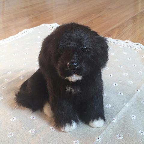 Imitación de perro negro pequeño coche de Casa accesorios de fotografía de escritorio decoración de juguete para regalo Animal relleno muñeca Decoración Para tienda de niños regalos ► Foto 1/5