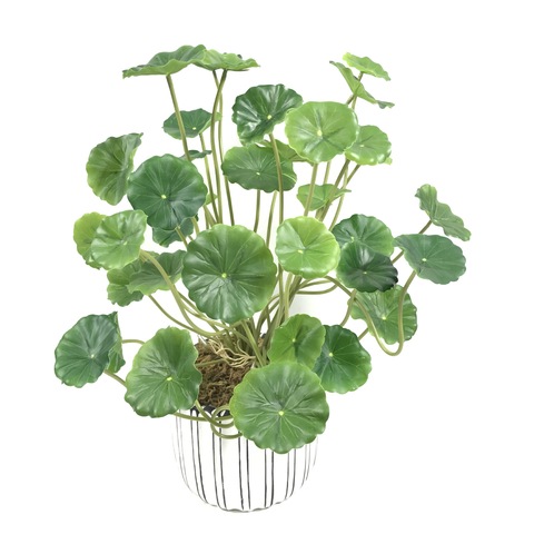 37cm18 cabeza Artificial verde pequeño loto hoja de plástico planta de Bonsai cobre dinero ramo de hojas Hotel florero sobresalen por ► Foto 1/5