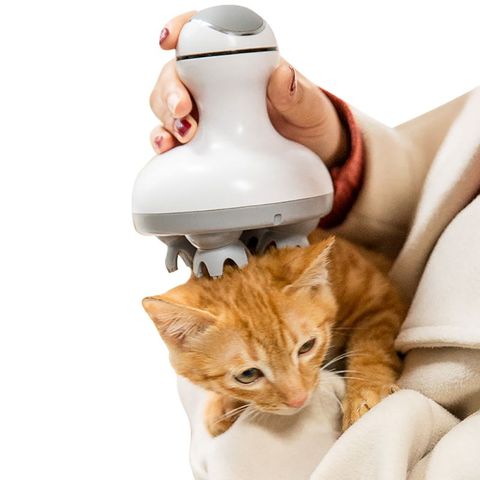 Masajeador de gato de Carga inteligente para mascotas, masajeador de cabeza 3D, gatos, giratorio automático, impermeable, eléctrico, garra de dragón, limpiador de polvo ► Foto 1/6