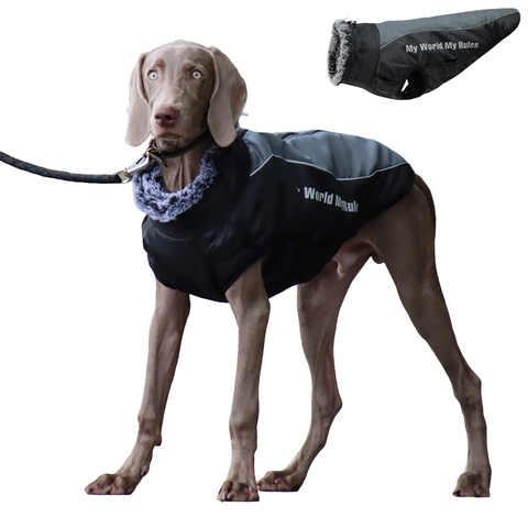 Ropa impermeable para perros grandes abrigo de invierno cálido para perro para exterior, chaquetas con terciopelo, arnés para caminar ► Foto 1/6