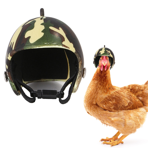 Pet pollo aves casco Pet Sombrero duro pollo divertido casco gallina duro sombrero de pájaro casco protector casco para mascotas suministros para mascotas ► Foto 1/6