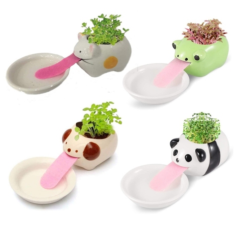 1 Uds lindo Polar/oso mono cerámica pote de flor pequeña de dibujos animados plantador planta bonsái suculenta Cactus Pot Jardín de la casa ► Foto 1/6