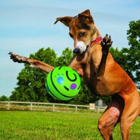 Bola de rizo bamboleante de 15cm juguete interactivo para perros mascota cachorro masticable, juguetes con sonidos divertidos, pelota de juego para perros, juguete de entrenamiento deportivo para mascotas ► Foto 1/6