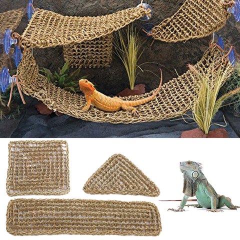 Terrario para reptiles de 40x17cm para lagarto, fiambrera, hamaca, cangrejos ermitentes pequeños, Geckos, Alfombra de cama para mascotas, hamaca ► Foto 1/6