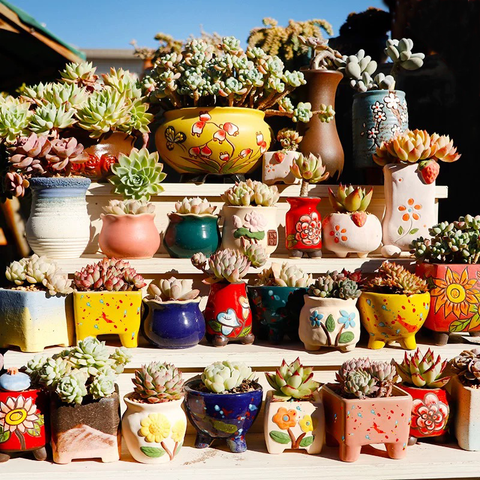 Flor de cerámica maceta para suculenta macetas para Cactus maceta macetas de jardín olla de cerámica jardín al aire libre de la decoración del hogar alféizar de la ventana ► Foto 1/6