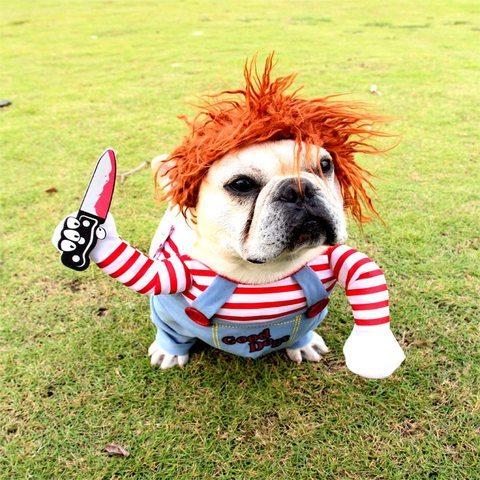 Disfraz de Halloween y Navidad para perros y ropa de Halloween, disfraz divertido para fiesta de Gato, con cuchillo ► Foto 1/6