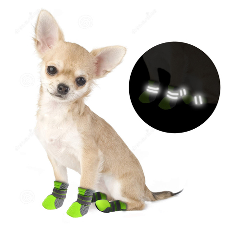 Zapatos para Perros y cachorros, Botas impermeables de fondo suave para exteriores, gato, Chihuahua, para lluvia ► Foto 1/6