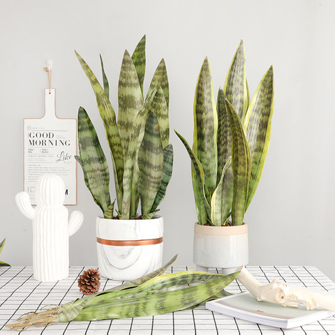 Plantas artificiales para decoración de jardín doméstico, vegetales falsos de plástico, bonsái, rama de sansevieria, hazlo tú mismo ► Foto 1/6