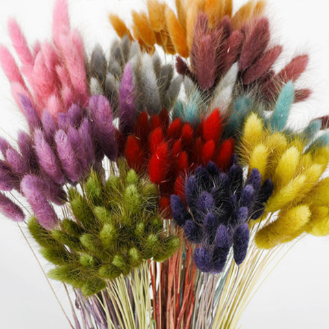 30 Uds Vintage Color DE macarrón cola de conejo hierba decorativa flores secas para florero fiesta en casa decoración arreglo Floral ► Foto 1/6