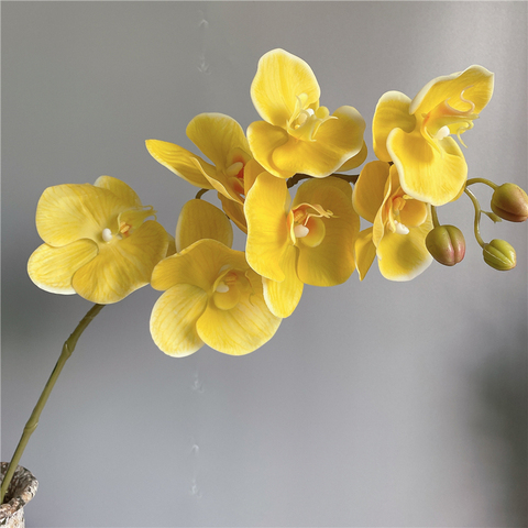 Rama de orquídeas artificiales de látex, grandes y reales, para elementos de decoración para boda Hogar, flores blancas ► Foto 1/3