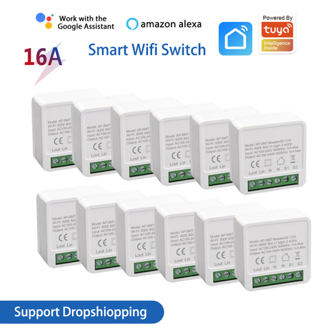 Miniinterruptor Wifi de 10A/16A, temporizador de 2 vías con Control de vía, Automatización del hogar inteligente, para el trabajo de vida inteligente, Tuya, Alexa y Google Home, 1-6 uds. ► Foto 1/6