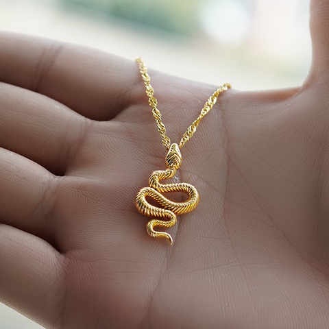 Collar de serpiente de acero inoxidable para hombre y mujer, Gargantilla de oro, colgante de serpiente, regalo de San Valentín, bisutería 2022 ► Foto 1/6