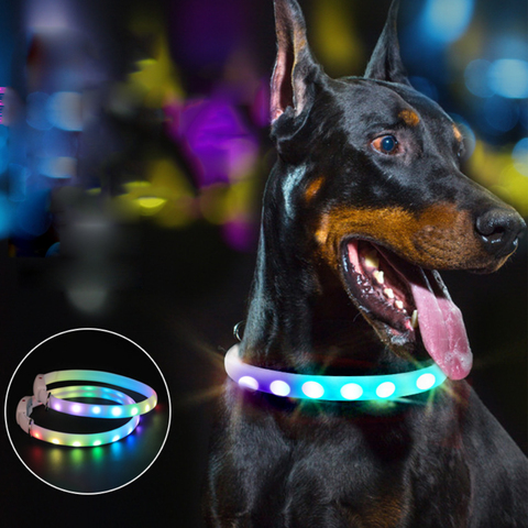 Collar LED para perro, Gato con USB, cinturón de seguridad nocturno, luz intermitente LED, antipérdida, luminoso y brillante, para gato ► Foto 1/6