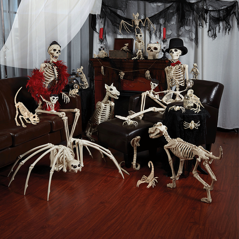 Nuevo esqueleto dragón perro Animal 100% plástico Animal esqueleto huesos Horror Halloween Prop Animal Horror Casa Fiesta Decoración ► Foto 1/5
