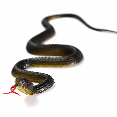Serpiente de simulación de serpiente falsa, serpiente pequeña de goma suave de plástico, juguete escalofriante completo, negro y amarillo ► Foto 1/6