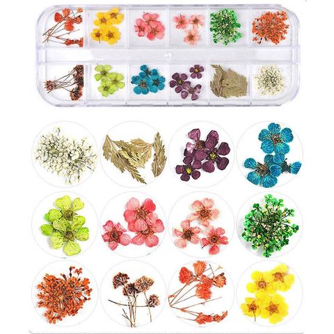 1 caja de relleno de cristal epoxi de hojas de flores prensadas, flor de Margarita seca, arte de resina DIY, fabricación de joyería, pegatinas para uñas, 14 estilos ► Foto 1/6