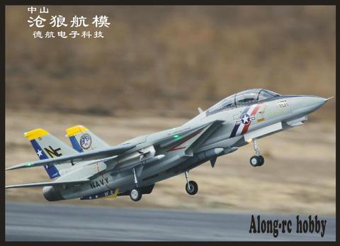 Freewing Dual 80mm Avión rc EDF jet modelo F-14 Tomcat con barrido Variable KIT de alas con servos o 6S PNP conjunto gemelos 80 FED ► Foto 1/6