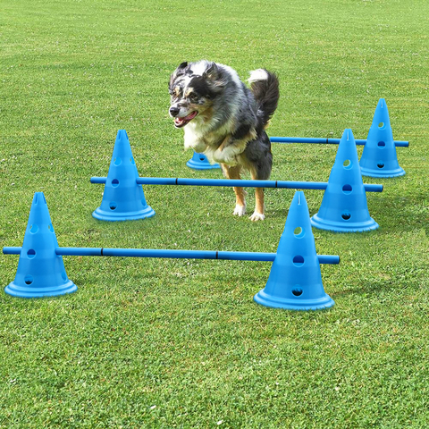 Juego de productos de entrenamiento de perro duradero, estacas para saltar para mascotas, deportes al aire libre, equipo de agilidad portátil, 3 unidades ► Foto 1/6