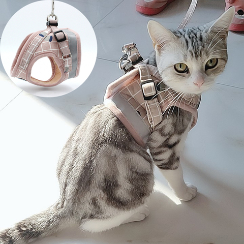 Arnés para gato a cuadros para gatos, conjunto de arnés y correa de malla para Mascotas, productos para gatos, accesorios para Gotas ► Foto 1/6