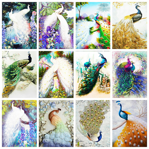 Evershine-Kit de bordado de diamantes de pavo real, mosaico de diamantes de imitación cuadrados completo, pintura de animales, punto de cruz, decoración del hogar ► Foto 1/6