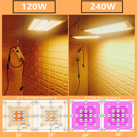 Luz Led de cultivo Qkwin de alta calidad, 120W, 240W, Quantum, PCB, espectro completo, Samsung LM301B, bricolaje (MeanWell-XLG -Driver) ► Foto 1/6