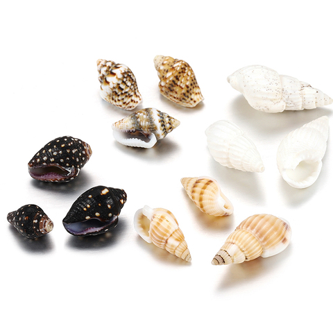 Conchas de colores variados para hacer joyas, conchas de conchas pequeñas naturales, DIY, accesorios, suministros, cadena de collar, 50 g/lote ► Foto 1/6