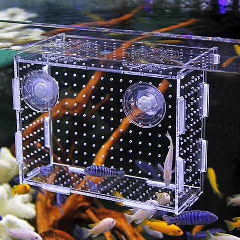 Caja de producción de anzuelos para acuario, acuario pequeño con aislamiento de peces tropicales, caja de producción de peces, funda con ventosas acrílicas ► Foto 1/4