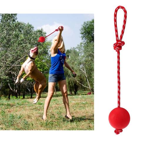 Bola de goma sólida con lanzador de cuerda para mascotas, juguete interactivo ergonómico seguro, cuerda para ejercicio de entrenamiento, 1 ud. ► Foto 1/6