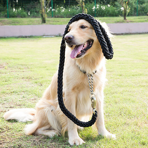 Correa trenzada de nailon para perros grandes y medianos, cuerda trenzada de nailon gruesa, hebilla de cadena de Metal P, correa para perros medianos y grandes, 1,2-1,5 M ► Foto 1/6