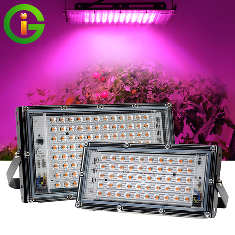 Luz LED de cultivo AC220V, 50W, 100W, lámpara Phyto de espectro completo, iluminación de crecimiento planta hidropónica de invernadero ► Foto 1/6