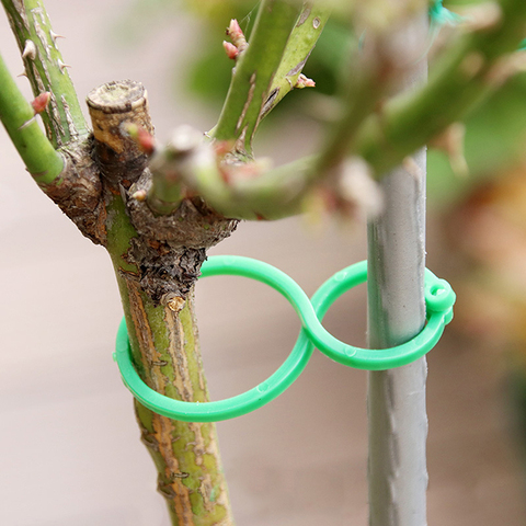 Soporte vertical para plantas de jardín, pinzas para celosía, vid, verduras, tomate, herramienta de soporte, 50/100 Uds. ► Foto 1/6