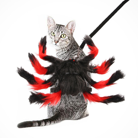 Ropa de araña para Halloween, disfraz de cachorro de araña negra de simulación para perros y gatos, vestido de fiesta, disfraz divertido ► Foto 1/5