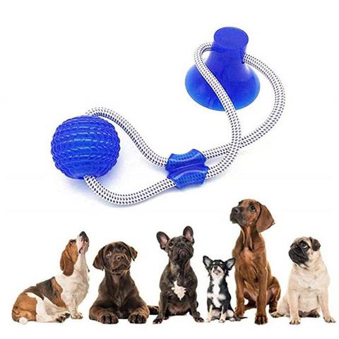 Juguetes de Limpieza de dientes para perros y mascotas, cuerda para estirar los dientes, juguetes de mascar con ventosa para perros medianos y pequeños, juguetes para perros ► Foto 1/6