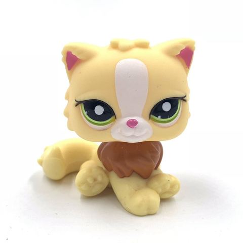 Tienda de mascotas de juguete para niños, animal Original persa, Gato amarillo, con ojos verdes lindo gatito, juguetes de anime ► Foto 1/3