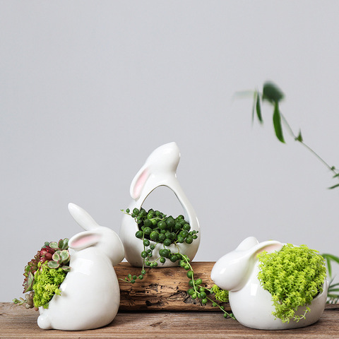 Lote de 3 uds. De macetas de conejos para decoración de escritorio, cachorros de cerámica para flores suculentas, Senecio Rowleyanus, para el hogar y el jardín ► Foto 1/6