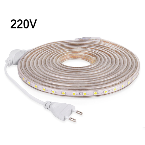 Tira de luces LED a prueba de agua CA 220 V 220 V SMD 5050 Flexible LED diodo cinta con enchufe de la UE 60 LEDs/m para sala de estar tira de neón ► Foto 1/6