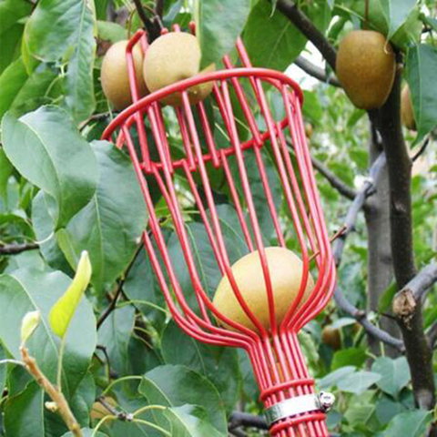 Cesta profunda para jardín, recolector de frutas con cabeza, práctico recolector de frutas, dispositivo de recolección de melocotón y manzana ► Foto 1/6